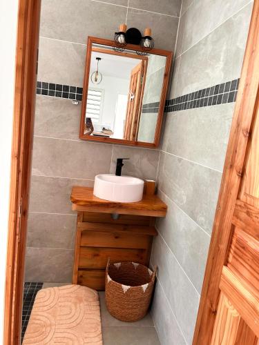 a bathroom with a sink and a mirror at Logement PALMIER in Sainte-Rose