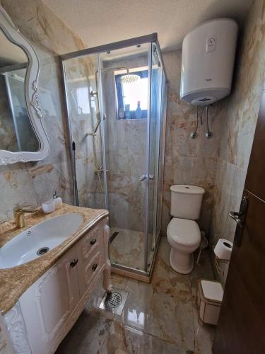 a bathroom with a shower and a toilet and a sink at Bungalovi Spahic in Ulcinj