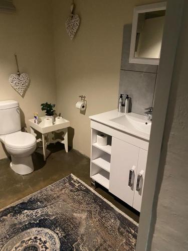 a bathroom with a toilet and a sink at Lola's Self Catering Accommodation in Clarens