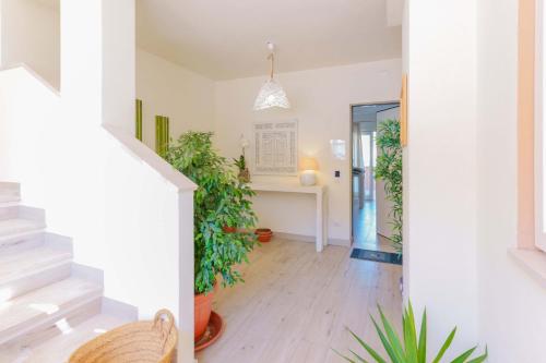 a hallway with potted plants in a house at Domo Green House in Villasimius