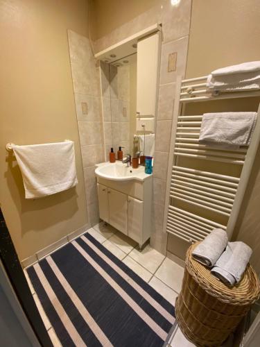 une salle de bain avec un lavabo et un miroir dans l'établissement Appartement cosy dans beau village de Champagne, à Cormicy
