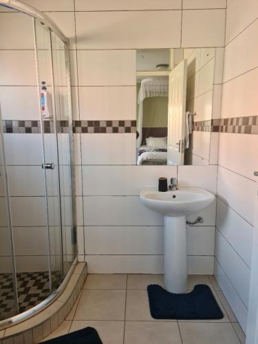 a bathroom with a sink and a shower at The Cottage in Lilongwe