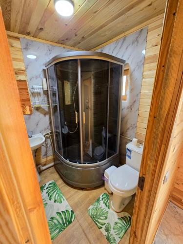 a bathroom with a shower and a toilet at WooD_House_Issyk-Kul in Bosteri