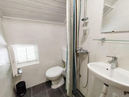 une salle de bain blanche avec toilettes et lavabo dans l'établissement Арartment IRENA, à Dobra Voda