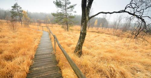 Un paisaje natural cerca del departamento