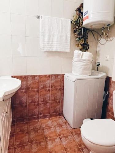 CS Central Apartment