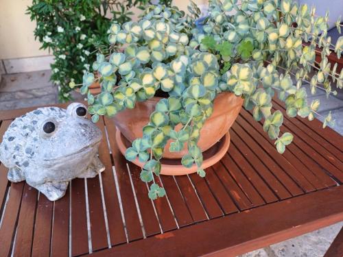 Φωτογραφία από το άλμπουμ του Bed & Breakfast Barbara σε Borgo Grotta Gigante