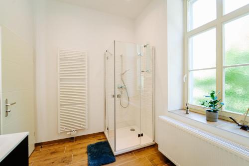 a white bathroom with a shower and a window at Villa Levin: 120m², bis 8 Pers, free Wifi & parken in Steudnitz