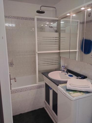 une salle de bain avec un lavabo et une douche dans l'établissement Appartement Cabourg Plage, à Cabourg