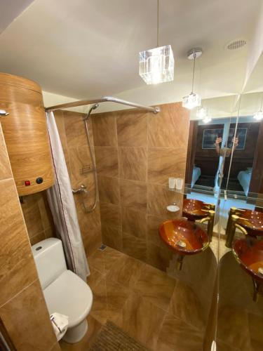W łazience znajduje się toaleta, prysznic i umywalka. w obiekcie Domek przy Promenadzie Zdrojowej w Gołdapi