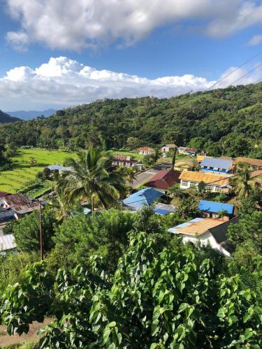 a small town with a palm tree in a village at FARILA LODGE in Kelimutu