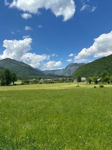 a field of green grass with mountains in the background at Studio Barbara in Bohinj