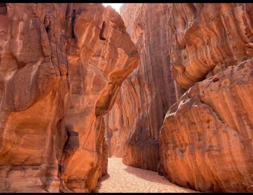 a narrow corridor in a canyon with rocks at Wadi Rum Desert Camp in Wadi Rum