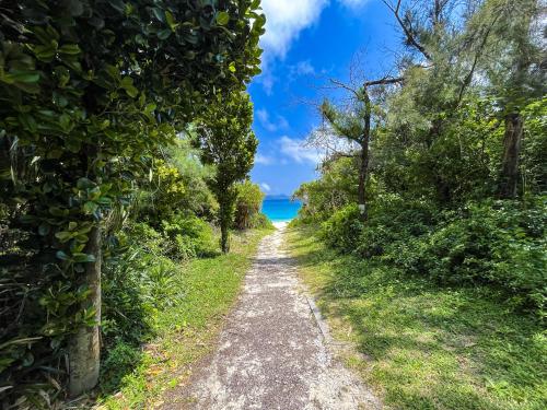 a path through the trees on the beach at 松田 Terrace A in Ginoza
