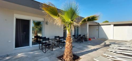 a palm tree in front of a building with chairs at Villa Laguna -house by the beach in Karavómilos