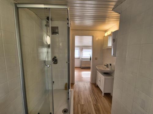 een badkamer met een douche en een wastafel bij Apartment in Vaihingen an der Enz - Horrheim in Vaihingen an der Enz
