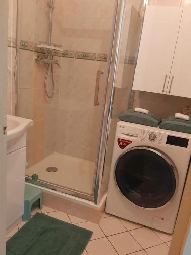 une machine à laver dans une salle de bain avec douche dans l'établissement Paris - Bords de Marne, à Saint-Maur-des-Fossés