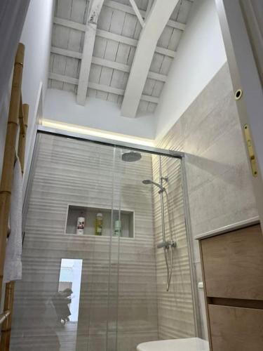a bathroom with a shower and a toilet in it at Casa en el centro de Arahal in El Arahal