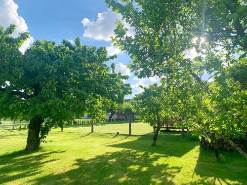 Jardín al aire libre en Ferienhaus Liebchen free Netflix