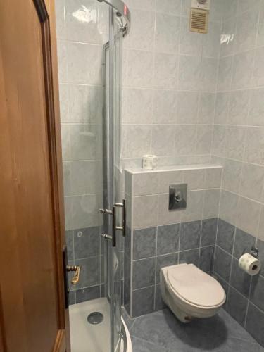 ein Bad mit einem WC und einer Dusche in der Unterkunft Pension Luscinia in Harrachov
