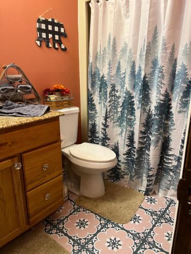a bathroom with a toilet and a shower curtain at Sky Valley Casa Dolce Vita in Sky Valley