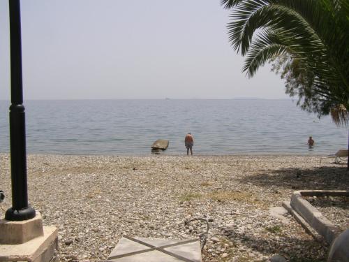 Φυσικό τοπίο κοντά σε αυτό το διαμέρισμα