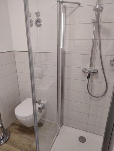 a bathroom with a shower with a toilet at Ostseegolf - Ferienappartement in Hohen Wieschendorf
