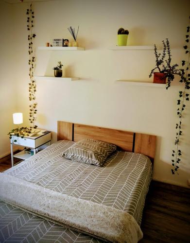 - une chambre avec un lit et des étagères sur le mur dans l'établissement Appartement équipé, Roquebrune Menton plage mer ., à Roquebrune-Cap-Martin