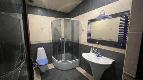 ein Bad mit einer Dusche, einem WC und einem Waschbecken in der Unterkunft Ivy Boutique Hotel in Yerevan