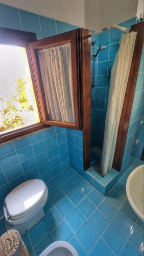 a blue tiled bathroom with a toilet and a shower at Oasi CalaCapra - Palau Costa Smeralda in Proiettore