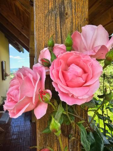a bunch of pink roses on a wooden wall at Holiday House PANORAMA in Podčetrtek