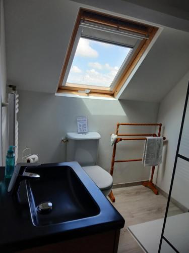 La salle de bains est pourvue d'un lavabo et d'une fenêtre. dans l'établissement Le Jardin B&B, à Isigny-le-Buat