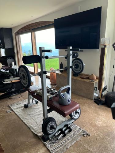 a living room with a tv and a treadmill at Private Luxury Spa & Silence Retreat with Spectacular View over the Lake Maggiore in Stresa