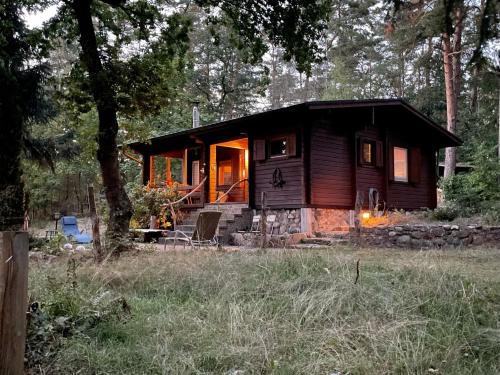 a cabin in the woods with the lights on at Ferienhaus Waldeule in Karwitz