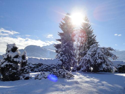 a snow covered forest with the sun shining between two trees at Landhaus Feller in Reith bei Kitzbühel