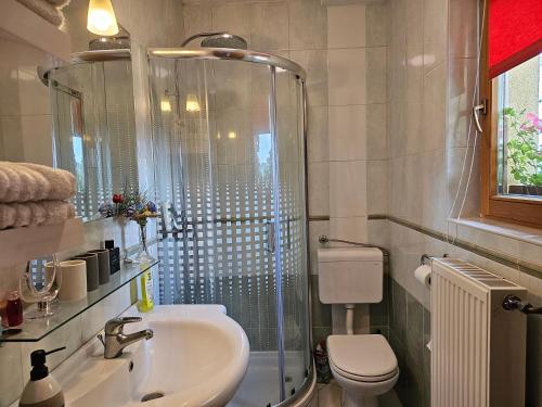 a bathroom with a shower and a sink and a toilet at Holiday House PANORAMA in Podčetrtek