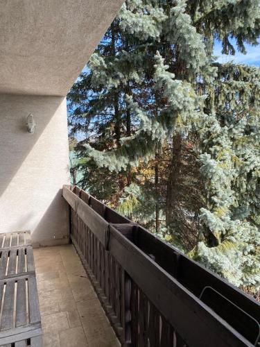 a wooden bench sitting on a balcony next to a tree at Luxury 3 BR Vila in a forest 10min drive from city center in Budapest