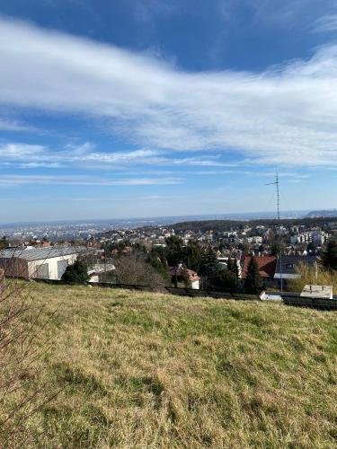 a grassy hill with a city in the background at Luxury 3 BR Vila in a forest 10min drive from city center in Budapest