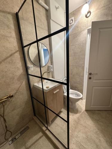 a bathroom with a sink and a mirror and a toilet at Peony Apartament in Craiova