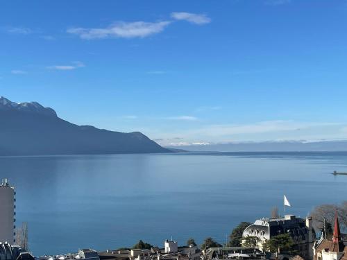 een uitzicht op een grote hoeveelheid water bij Appartement vue lac Montreux in Montreux