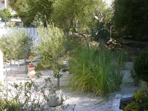 a garden with tall grass and plants in it at Villa Agnese in Badesi