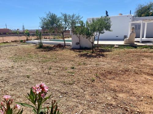 a yard with a building and some plants and flowers at Villa Air - Relax, close to bossa beach, spacious rooms and private pool in Sant Jordi