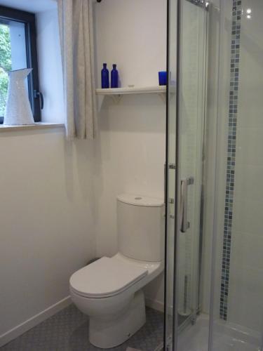 a bathroom with a toilet and a glass shower at Atelier chambres in Semur-en-Auxois