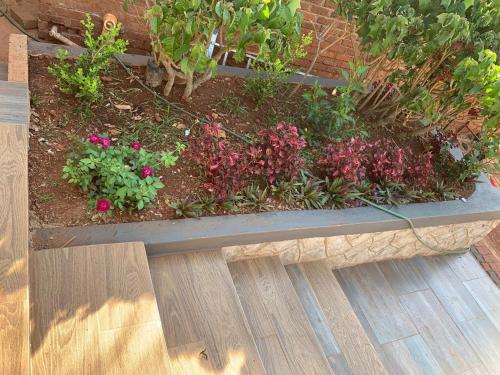 a garden with pink flowers in a stone bench at Victoria guest house Nyumbani in Tzaneen