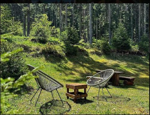 two chairs and a table and a bench in the grass at Vila Dragana in Žabljak