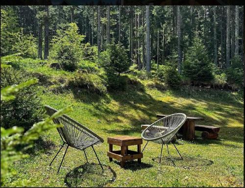 twee stoelen en een tafel en een bank in het gras bij Vila Dragana in Žabljak