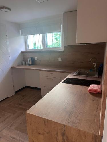 Dapur atau dapur kecil di Apartamenty W Domu DeLux