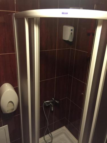 a shower in a bathroom with brown tile at Bed & Breakfast Karavan in Raška