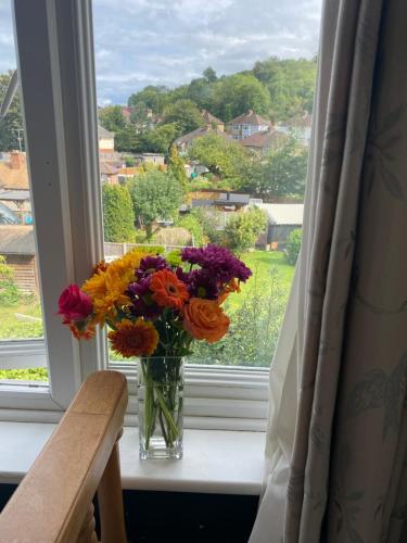 un jarrón de flores sentado en un alféizar de la ventana en Private Lovely double bedroom en High Wycombe