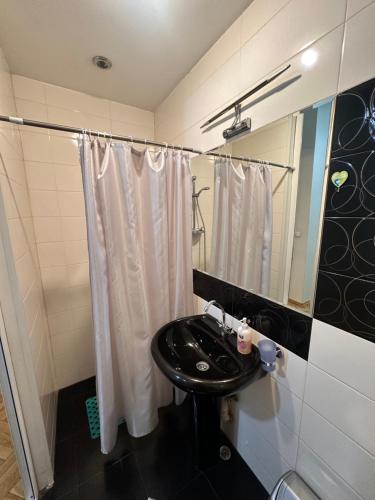 Un baño con lavabo y ducha en Apartment Dadiani 26, en Tiflis